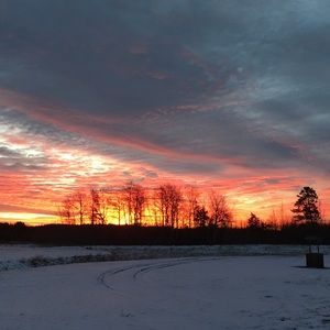 Meet your Posher, Leilani